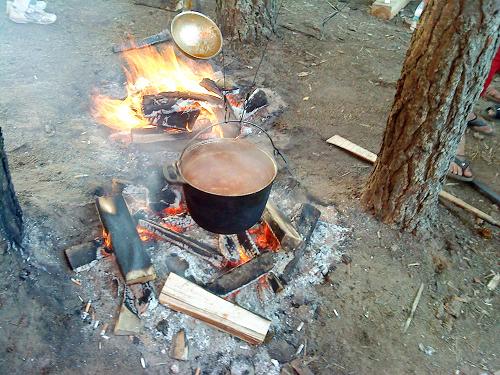 ������� 2010